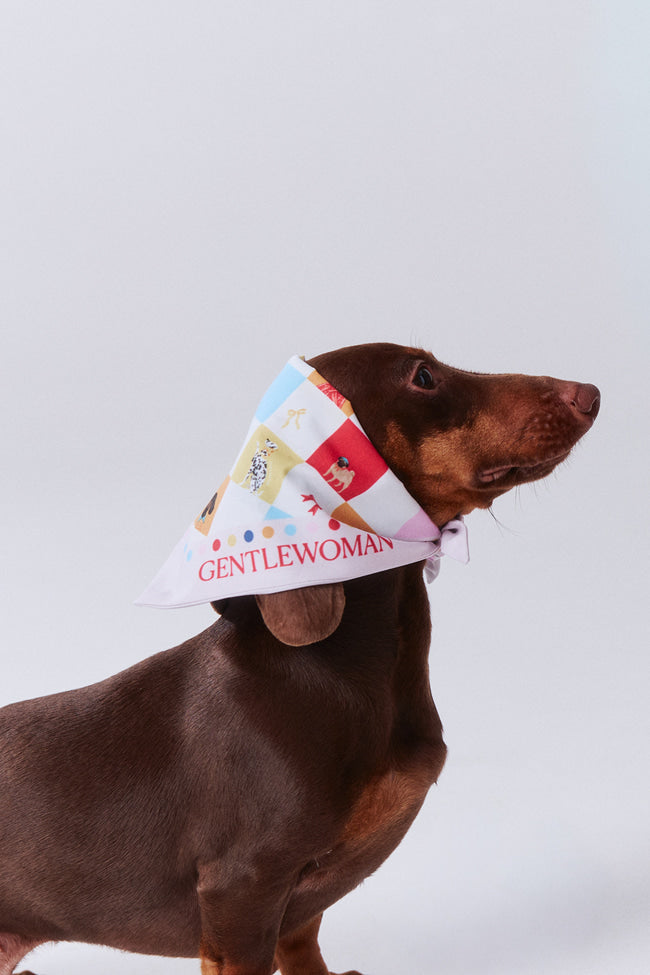 Pawsitive Vibe Pet Bandana - GW24083