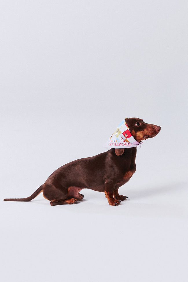 Pawsitive Vibe Pet Bandana - GW24083