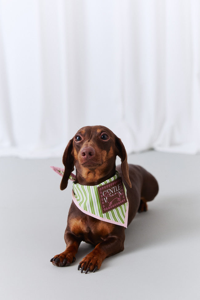 Croquet Stripe Pet Bandana - GW24084
