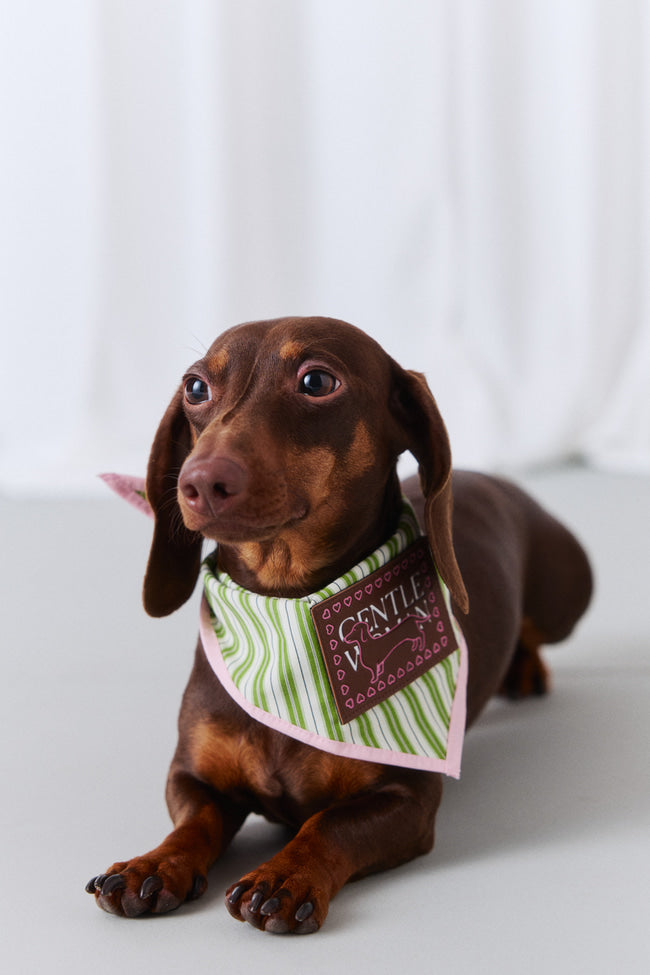 Croquet Stripe Pet Bandana - GW24084