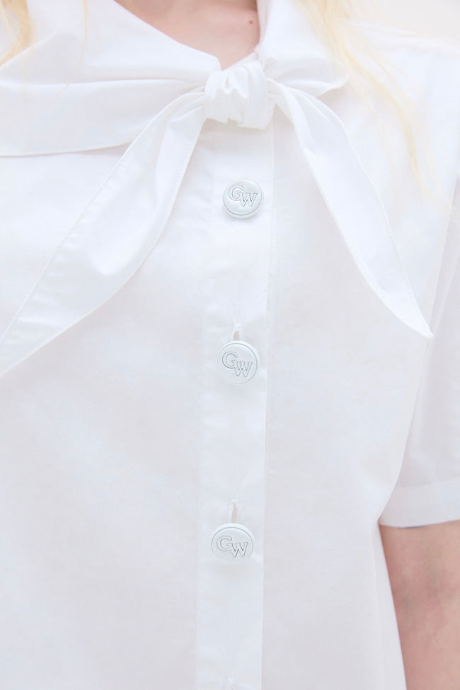 REFINED STRUCTURE TOP - GW25931