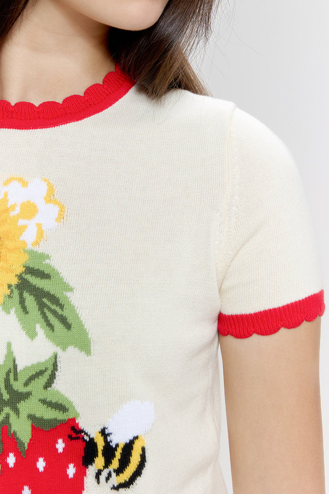 Sunflower Strawberry Knit Top -  GW26823